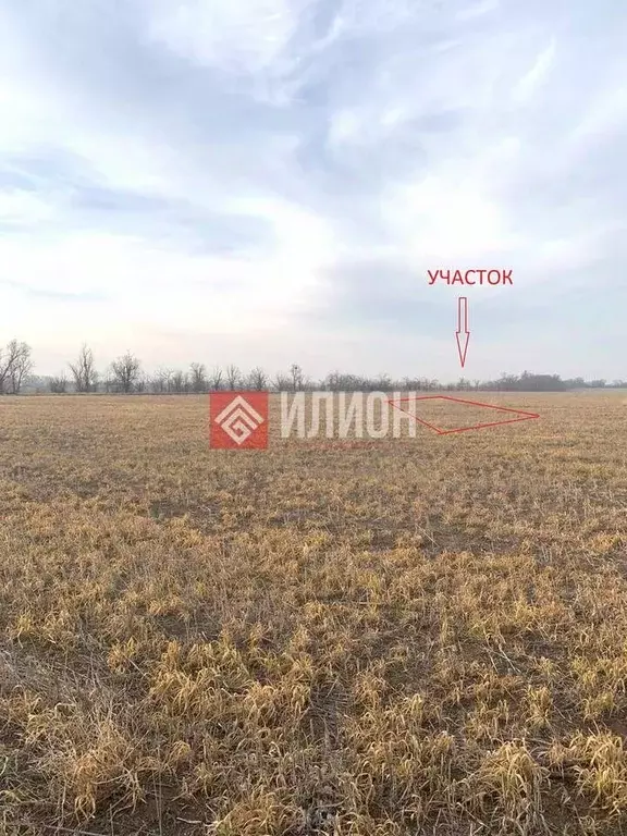 Участок в Крым, Симферопольский район, Николаевка пгт ул. Ялтинская, ... - Фото 2