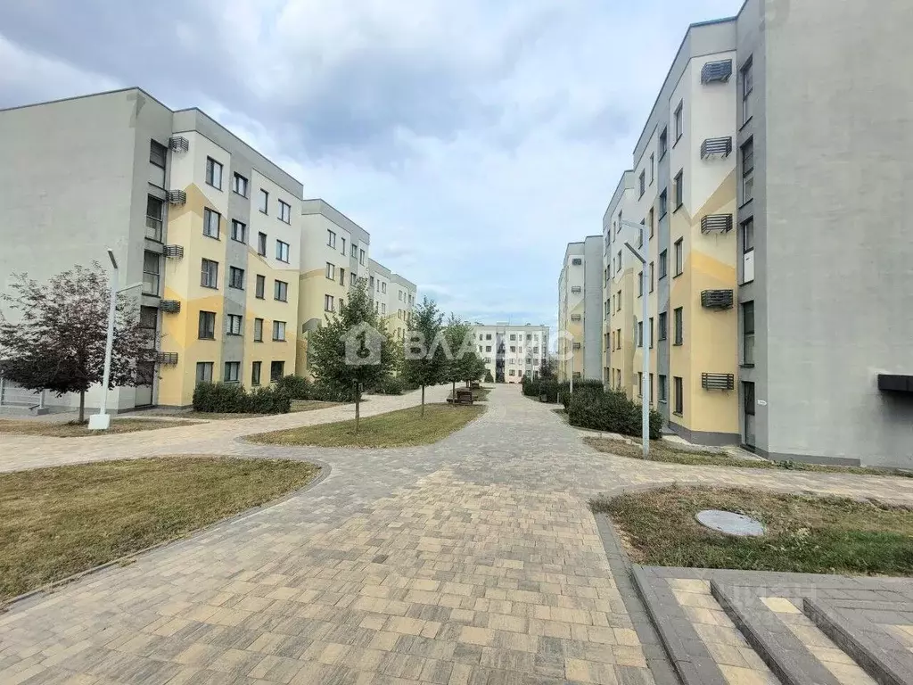 Студия Белгородская область, Белгород ул. Семейная, 9 (30.5 м) - Фото 1