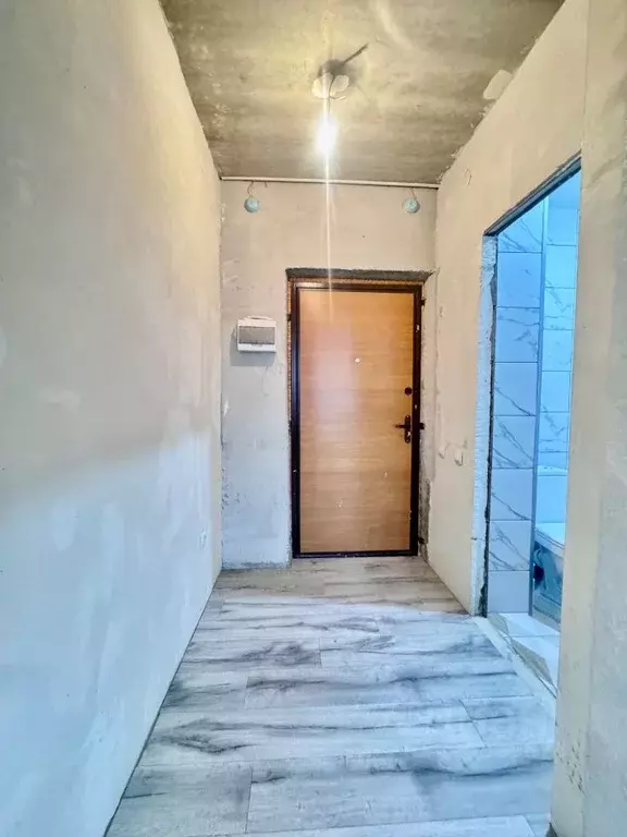 Студия Пензенская область, Пензенский район, Засечный сельсовет, с. ... - Фото 2