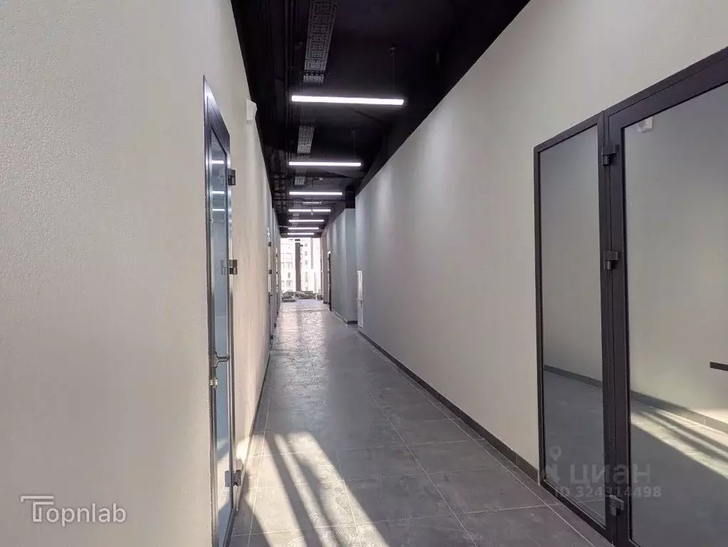 Офис в Алтайский край, Барнаул тракт Павловский, 174А (35 м) - Фото 2