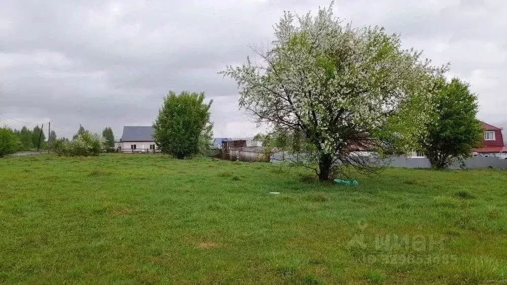 Участок в Алтай, Майминский район, с. Подгорное пер. Ягодный, 12 ... - Фото 1