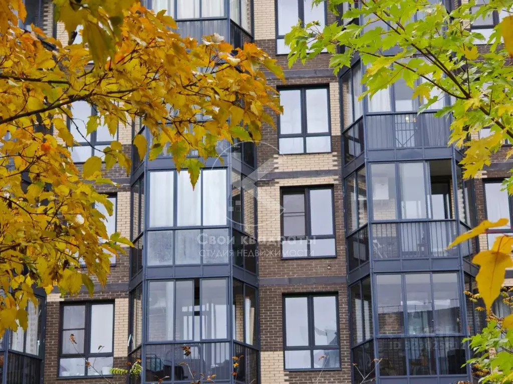 Студия Московская область, Апрелевка Наро-Фоминский городской округ, ... - Фото 1