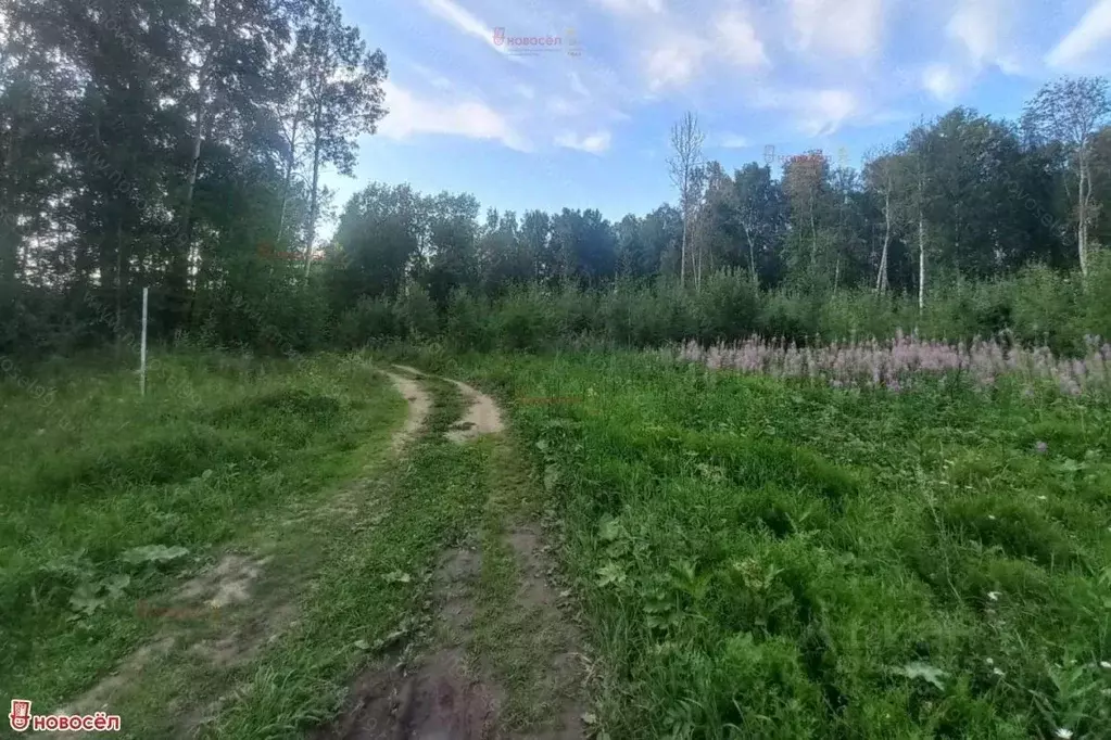 Участок в Свердловская область, Невьянский муниципальный округ, пос. ... - Фото 1