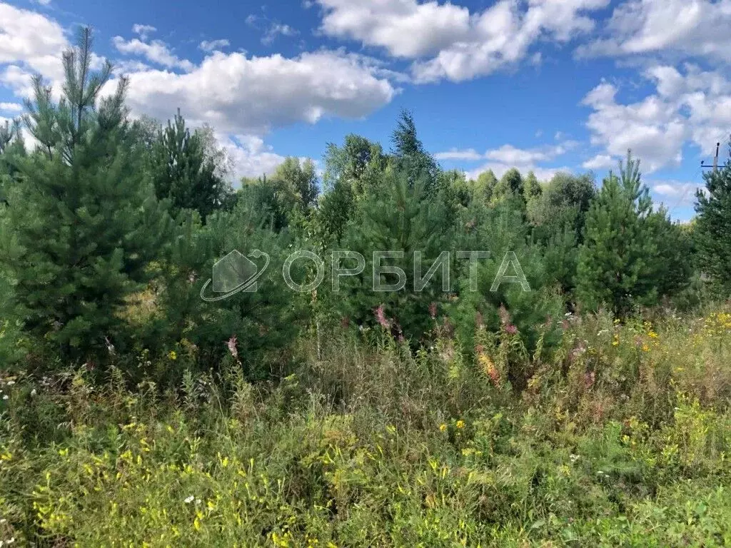 Участок в Тюменская область, с. Нижняя Тавда  (10.0 сот.) - Фото 1