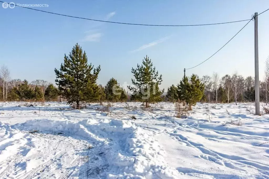 Участок в Искитимский район, Мичуринский сельсовет, дачное ... - Фото 1