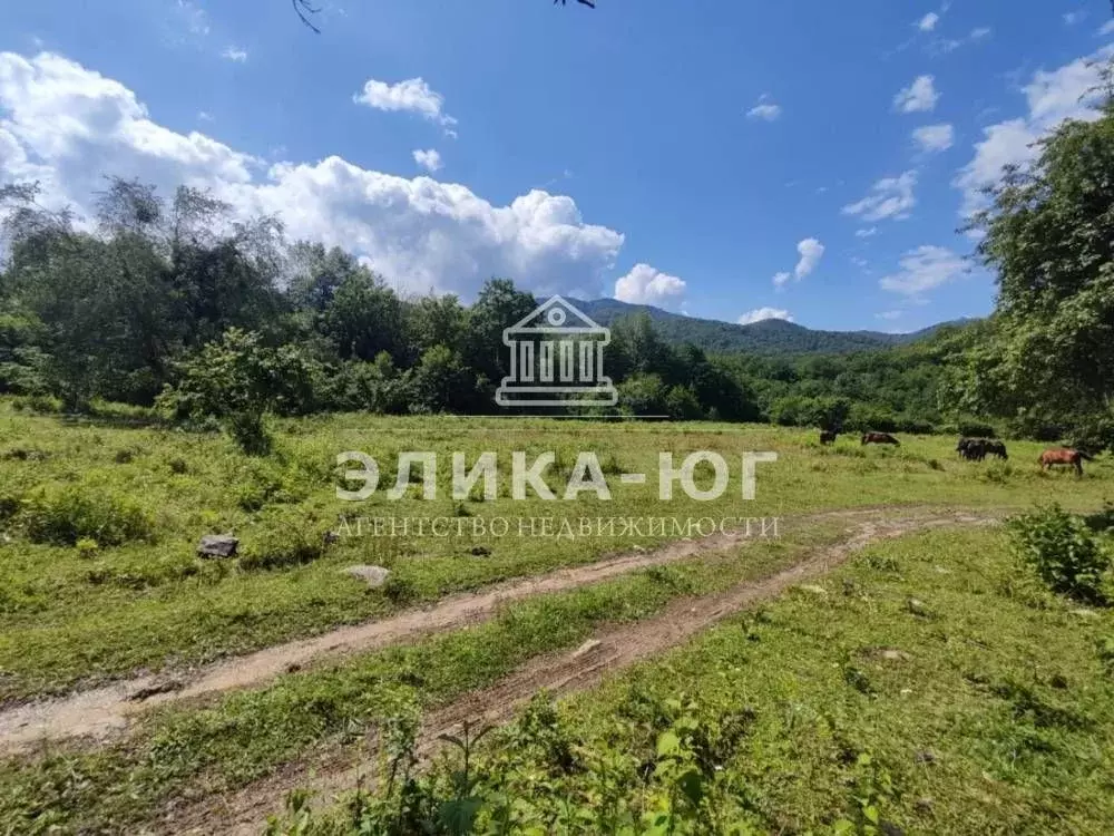 Участок в Краснодарский край, Туапсинский муниципальный округ, с. ... - Фото 1