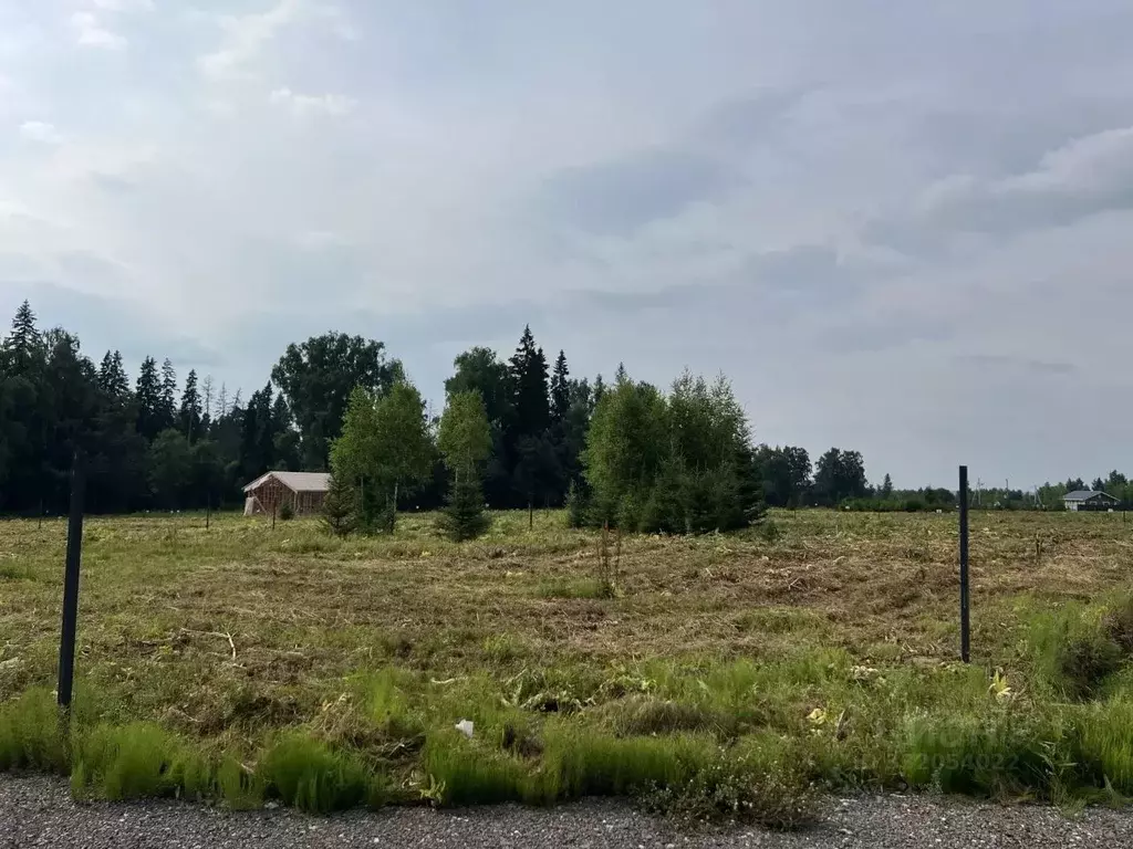 Участок в Московская область, Солнечногорск городской округ, д. ... - Фото 1