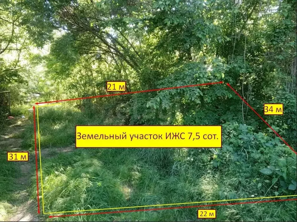 Участок в Крым, Ялта муниципальный округ, Краснокаменка пгт ул. ... - Фото 1