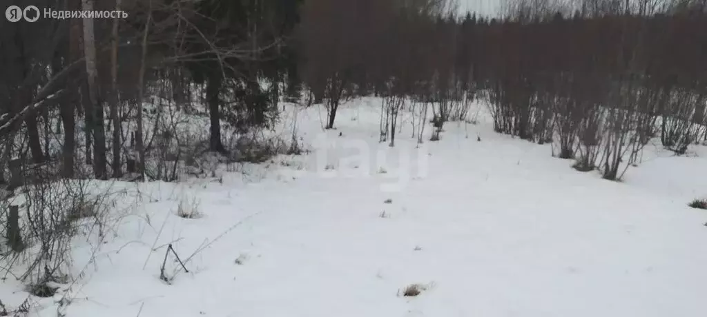 Участок в Вологодский муниципальный округ, садоводческое товарищество ... - Фото 1