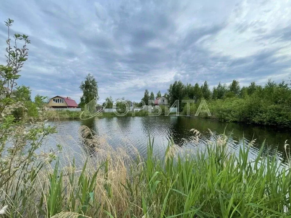 Участок в Тюменская область, Тюмень СОСН Березка-3 тер., ул. 9-я (9.79 ... - Фото 0