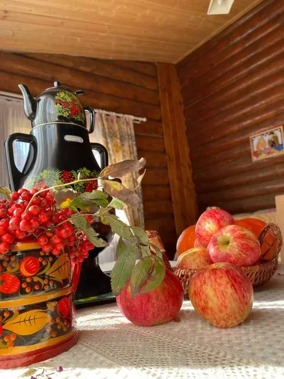 Дом в Ивановская область, Шуйский район, Введенское с/пос, с. Горицы ... - Фото 1