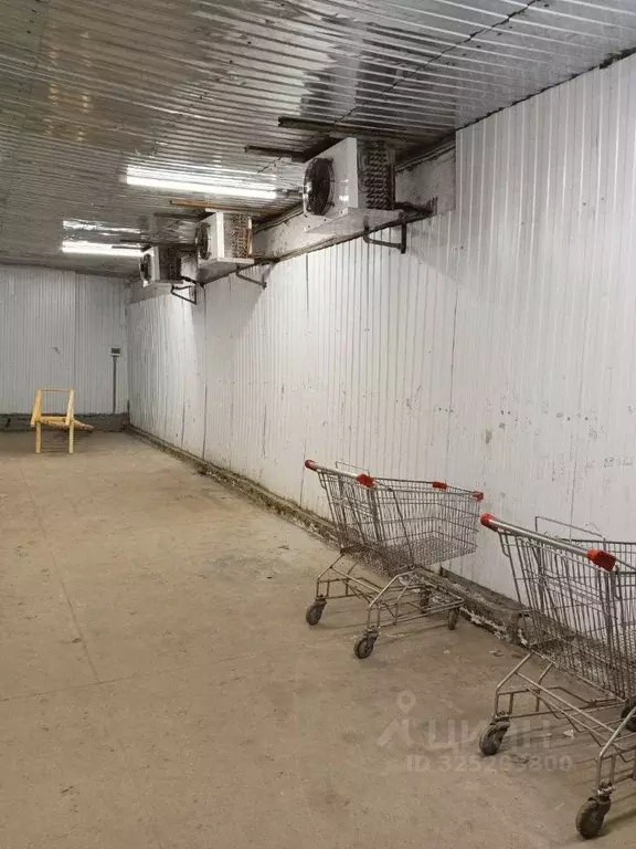 Склад в Брянская область, Брянский район, пос. Мичуринский Спортивная ... - Фото 2