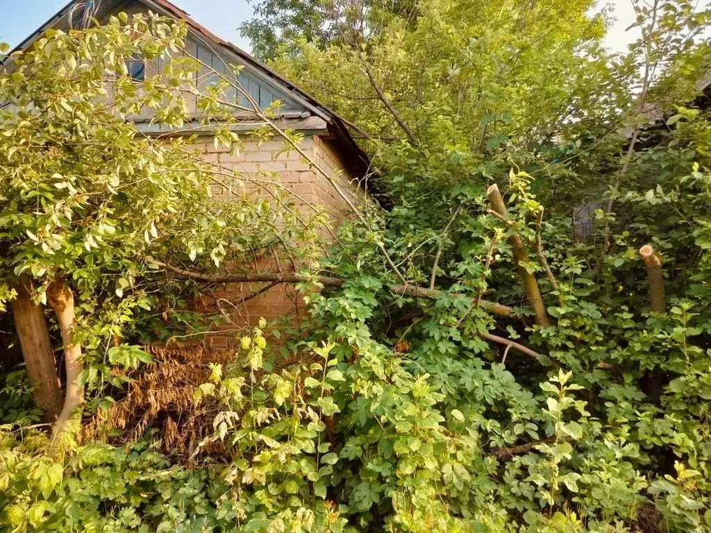 Дом в Оренбургская область, Оренбург Имени Мичурина СНТ, ул. ... - Фото 1