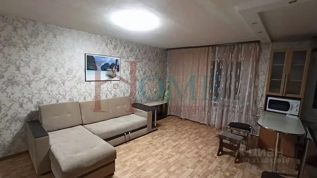 1-к кв. Новосибирская область, Новосибирск ул. Максима Горького, 34 ... - Фото 0