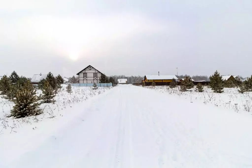 Участок в Тюменская область, Тюменский район, Новокаменский кп  (9.2 ... - Фото 1