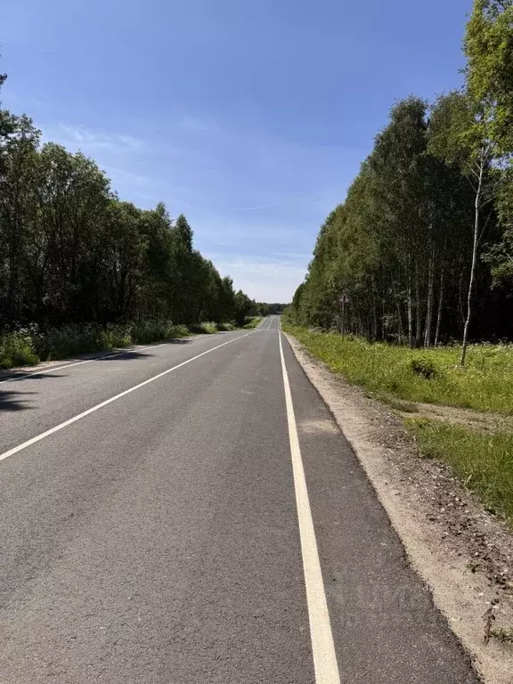 Участок в Ярославская область, Некоузский муниципальный округ, д. ... - Фото 2