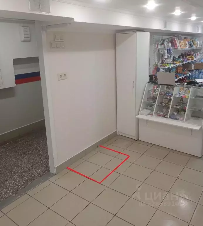 Торговая площадь в Алтайский край, Барнаул Молодежная ул., 20 (1 м) - Фото 2