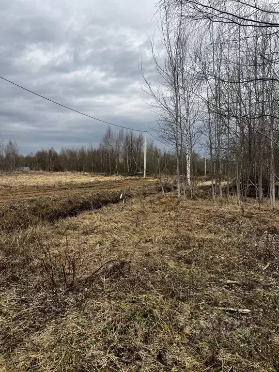 Участок в Московская область, Волоколамский городской округ, д. ... - Фото 1