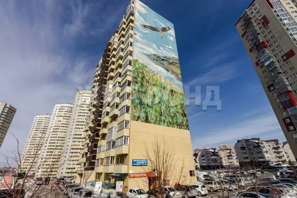 1-к кв. Новосибирская область, Новосибирск Вилюйская ул., 13 (43.5 м) - Фото 2