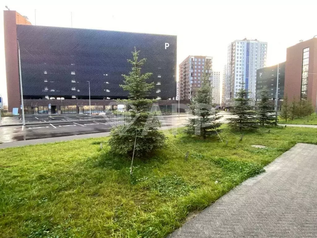 Помещение свободного назначения (67 м) - Фото 0