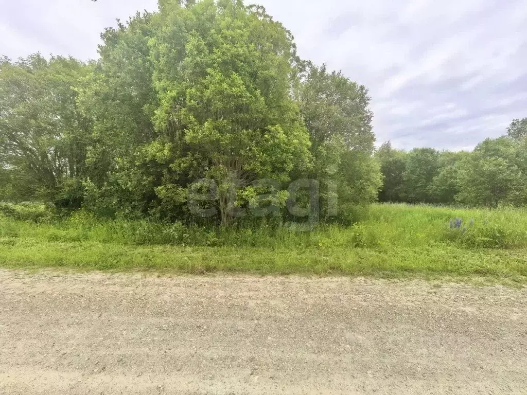 Участок в Пермский край, Березники муниципальный округ, с. Пыскор пер. ... - Фото 1