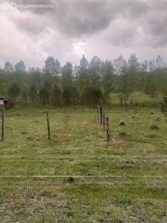 Участок в село Чемал, Сосновая улица (9.81 м) - Фото 1