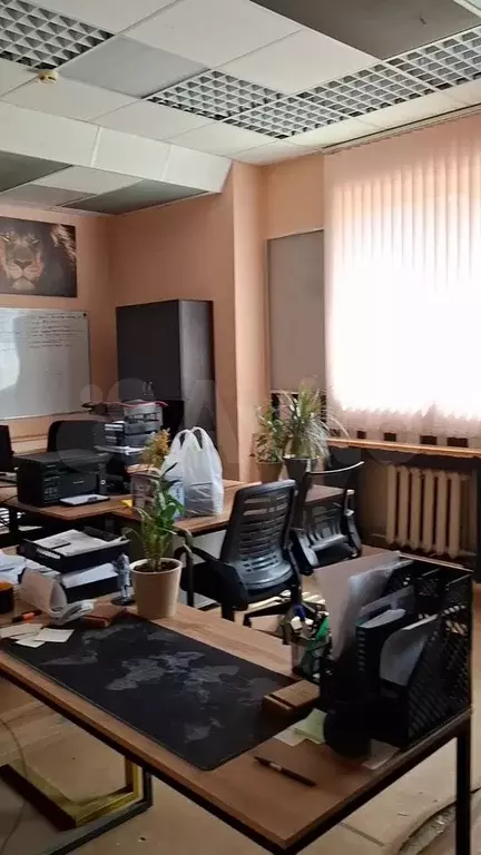 Офис - Фото 0