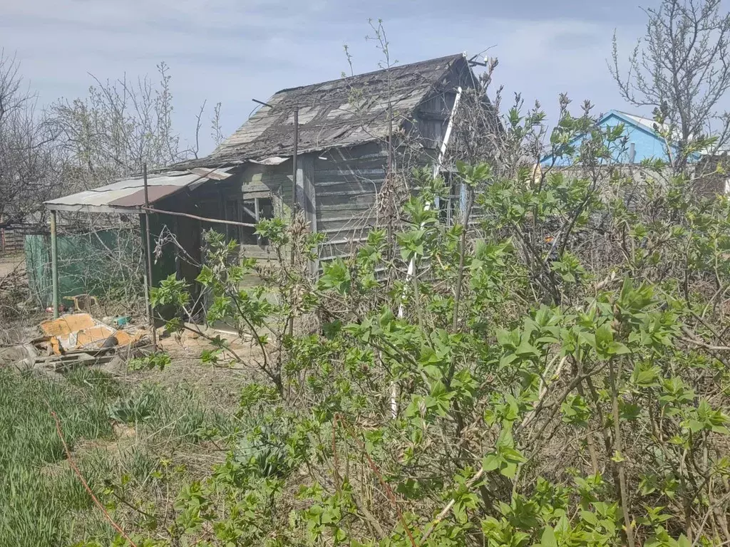 Дом в Волгоградская область, Волгоград Металлургстрой садовое ... - Фото 1