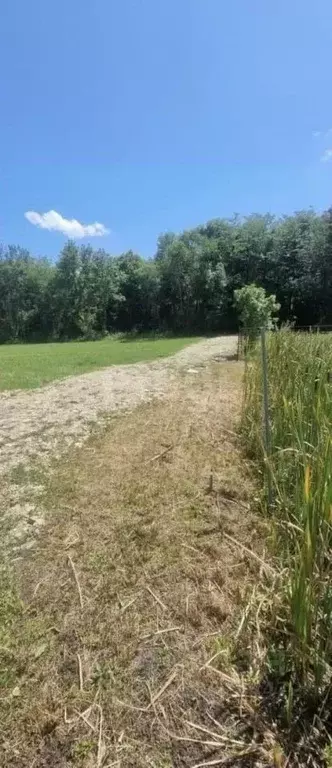 Участок в Адыгея, Майкопский район, Кировское с/пос, Пролетарский хут. ... - Фото 1