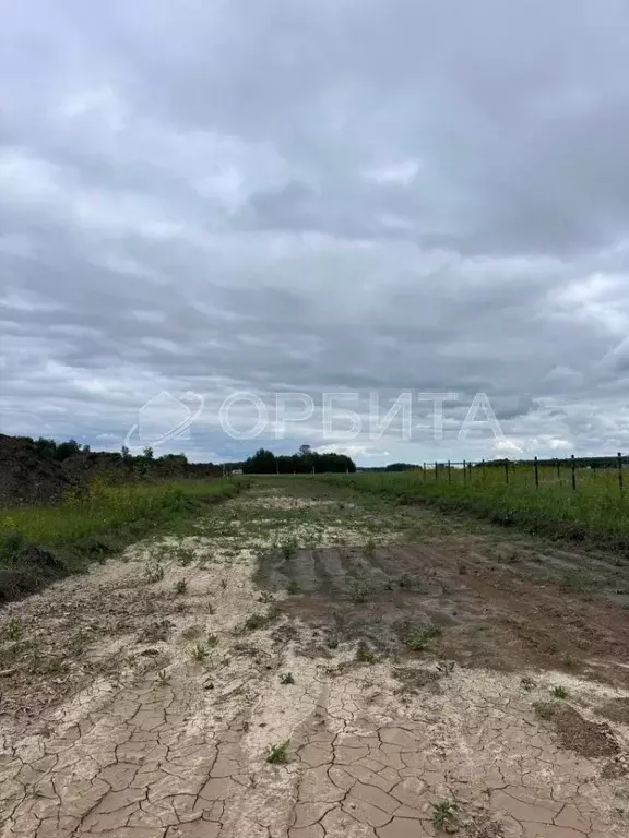 Участок в Тюменская область, Тюменский район, Новокаменский кп ул. ... - Фото 0