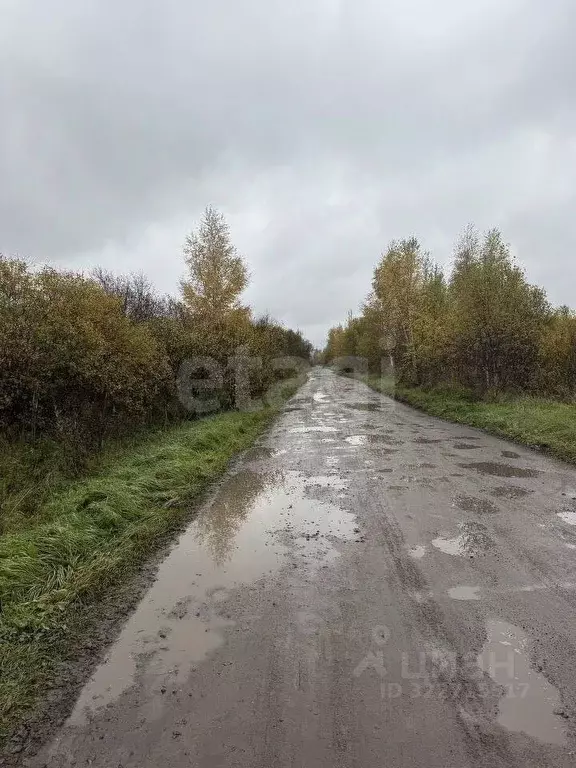 Дом в Ярославская область, Рыбинск Западный п/р, ул. Журнальная, 5 (33 ... - Фото 1