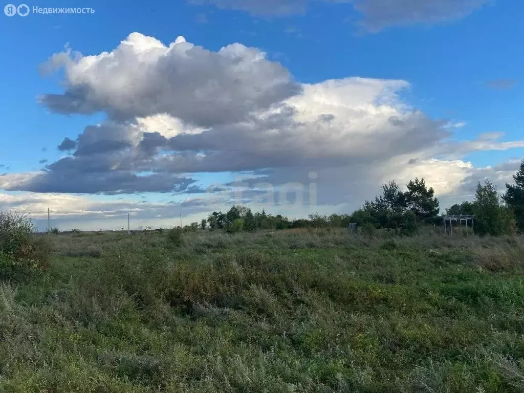 Участок в Амурская область, Благовещенск (6 м) - Фото 2