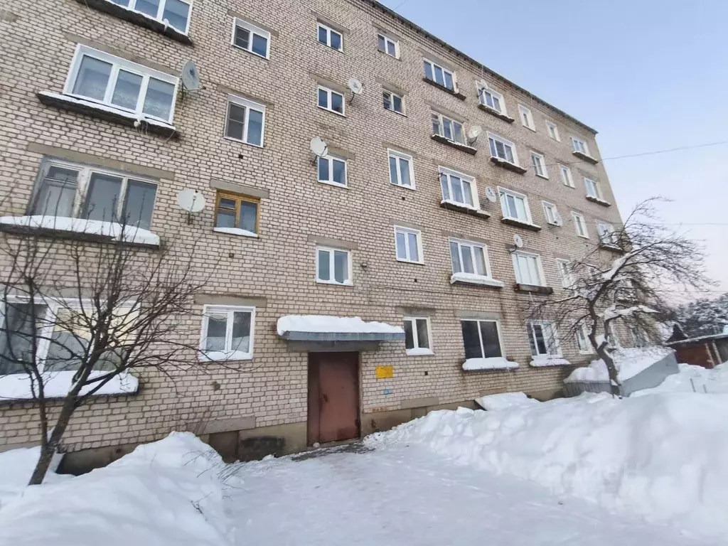 1-к кв. Ивановская область, Савинский район, Архиповское с/пос, с. ... - Фото 1