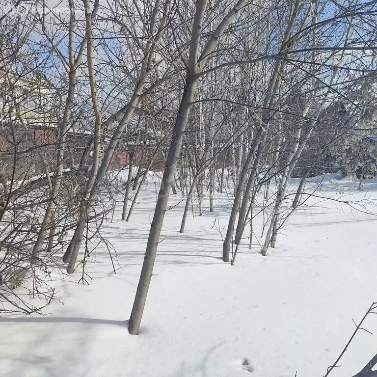 Участок в Омск, улица Шебалдина (4.6 м) - Фото 2