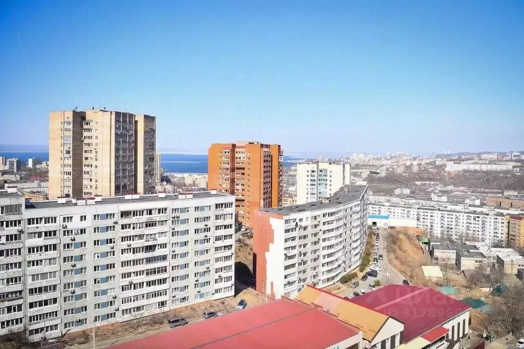 1-к кв. Приморский край, Владивосток ул. Толстого, 40А (60.0 м) - Фото 1