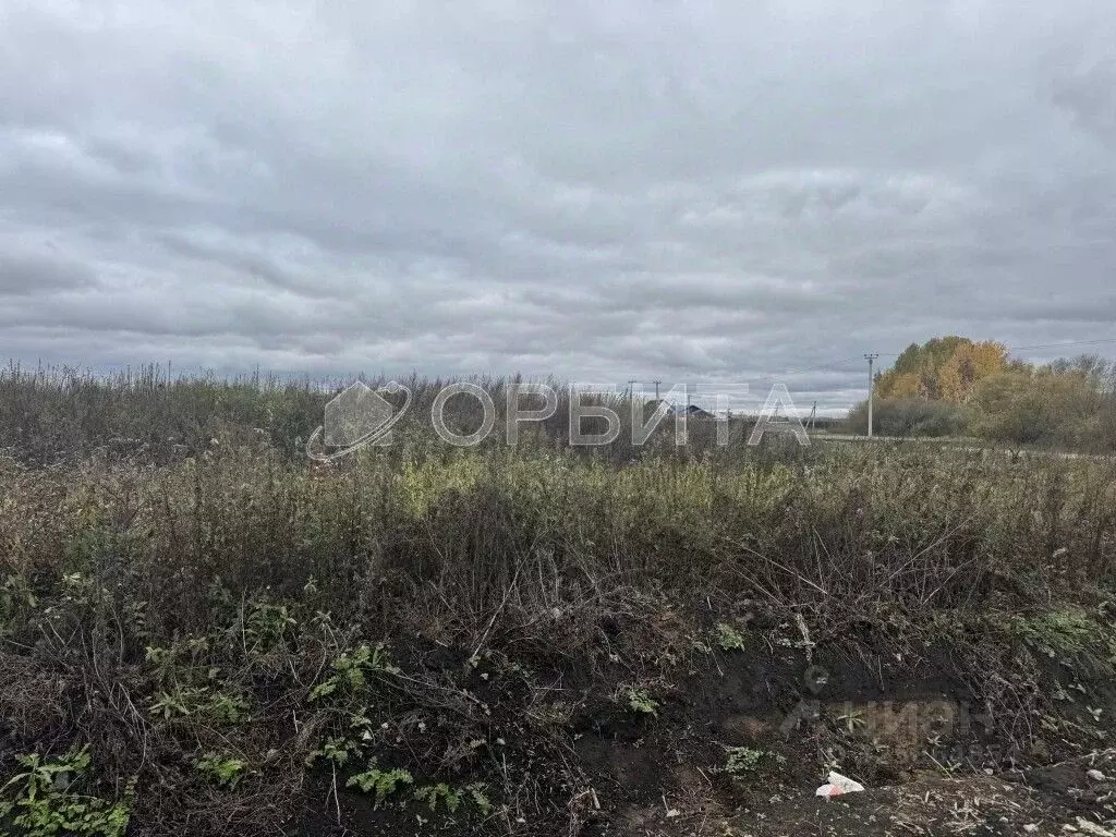 Участок в Тюменская область, Тюменский муниципальный округ, с. ... - Фото 2