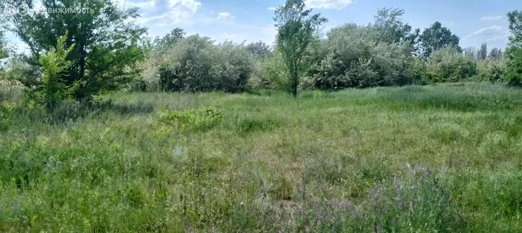 Участок в село Квасниковка, улица Дружбы (25 м) - Фото 1