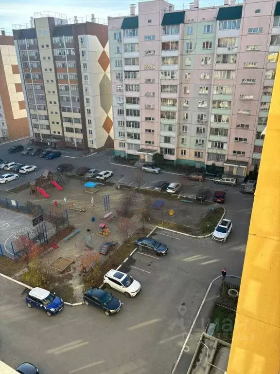 3-к кв. Челябинская область, Челябинск Луганская ул., 5 (81.0 м) - Фото 2