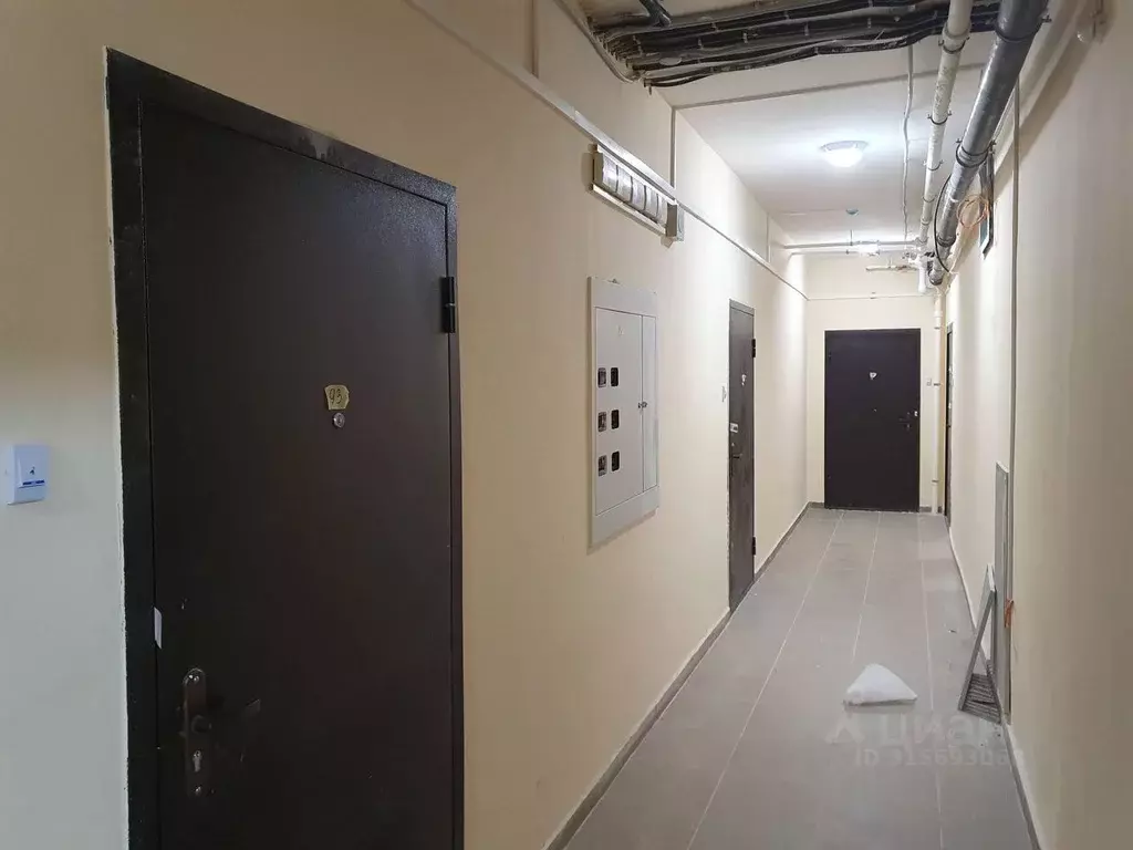 2-к кв. Ленинградская область, Мурино Всеволожский район, ул. Шоссе в ... - Фото 1