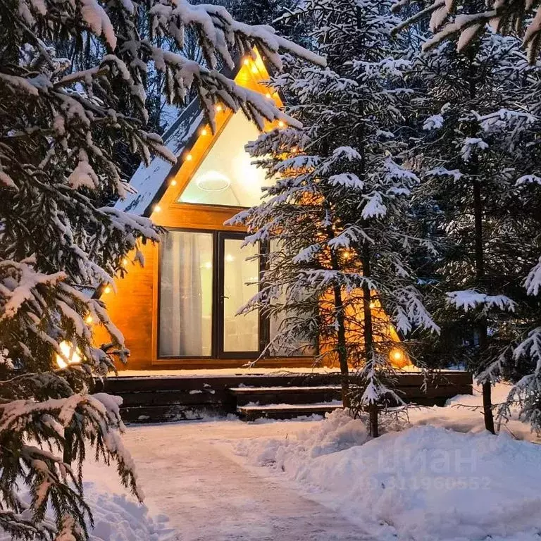 Дом в Ивановская область, Ивановский район, Богданихское с/пос, д. ... - Фото 0