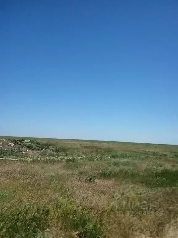 Участок в Крым, Сакский район, с. Уютное  (220.0 сот.) - Фото 0