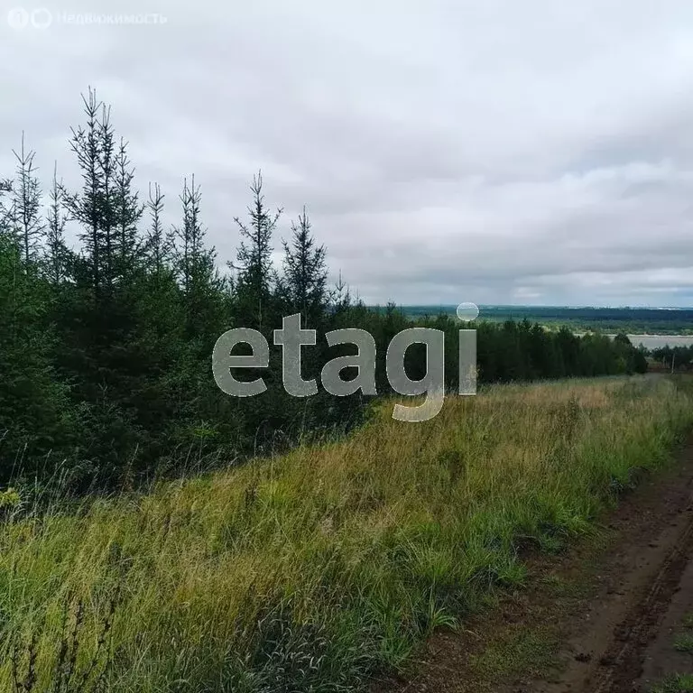Участок в Пермский муниципальный округ, деревня Кулики (14.8 м) - Фото 1