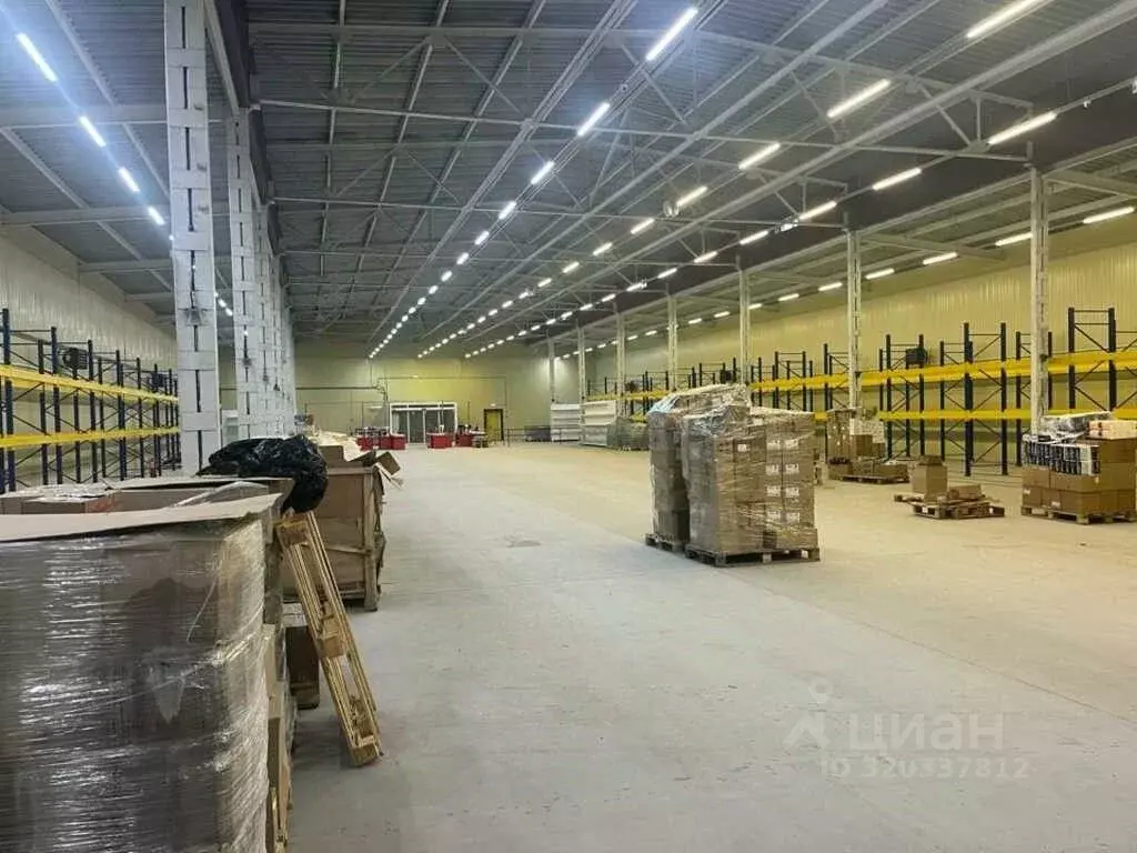 Помещение свободного назначения в Московская область, Раменский ... - Фото 1