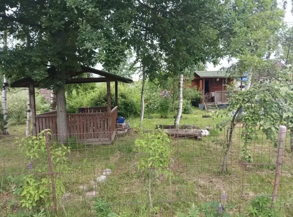Участок в Ленинградская область, Ломоносовский район, Горбунковское ... - Фото 2