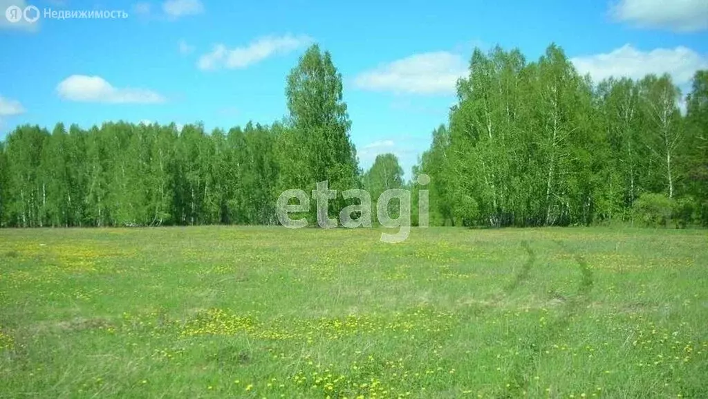 Участок в Ярославская область, село Большое Село (98.54 м) - Фото 2