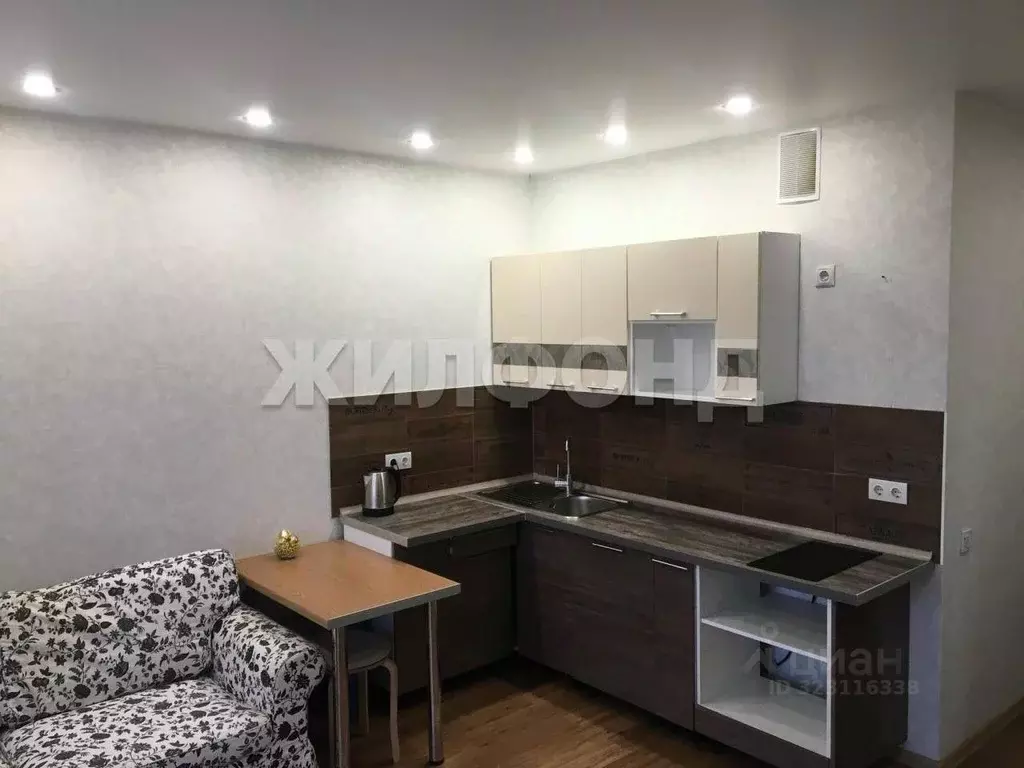 1-к кв. Новосибирская область, Новосибирск ул. Ватутина, 93/2 (24.6 м) - Фото 1