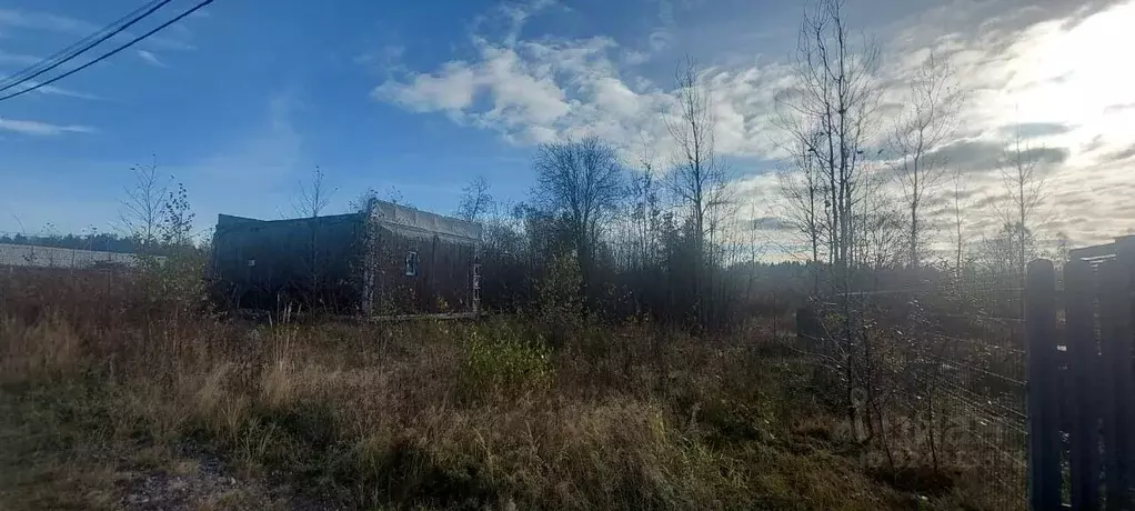 Участок в Ленинградская область, Всеволожский район, Лесколовское ... - Фото 1
