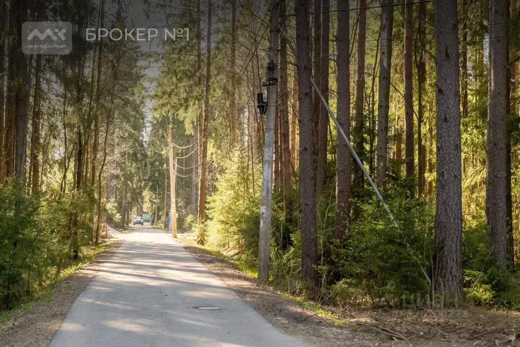 Участок в Санкт-Петербург, Санкт-Петербург, Зеленогорск ул. 1-я ... - Фото 2