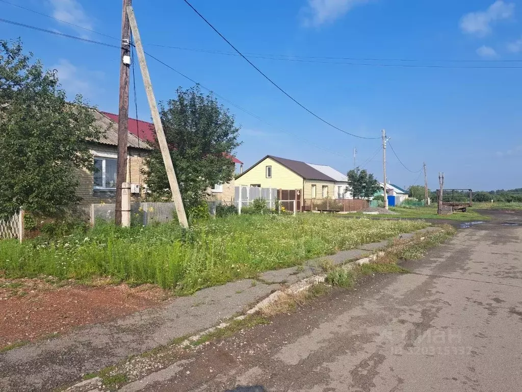 Дом в Челябинская область, Еткульский муниципальный округ, с. Шибаево ... - Фото 1