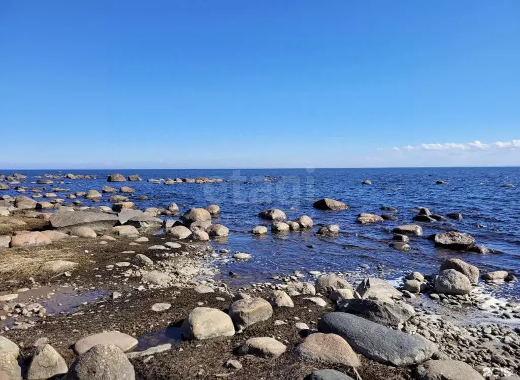 Участок в Санкт-Петербург пос. Молодежное,  (12.0 сот.) - Фото 1